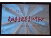 勞動(dòng)關(guān)系和諧企業(yè)